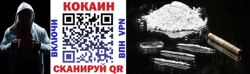 Кокаин Fish Scale  закладки  Правдинск 