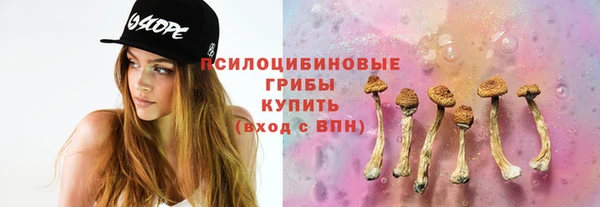сатива Аркадак