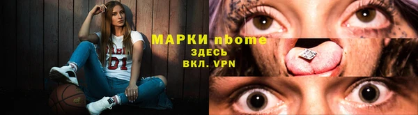 сатива Аркадак