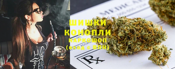 сатива Аркадак
