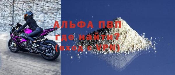 сатива Аркадак