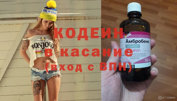 сатива Аркадак