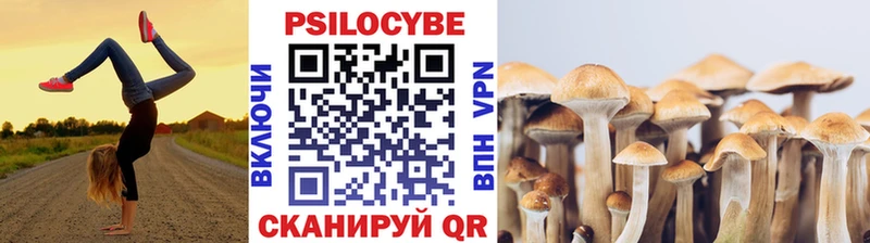 Галлюциногенные грибы GOLDEN TEACHER Правдинск